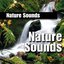 Nature Sound