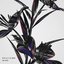 Blame - Single