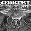 Genogeist