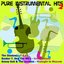 Pure Instrumental Hits, Vol.2