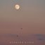 Still Moon - Single