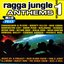Ragga Jungle Anthems Vol. One