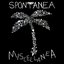Miscellanea