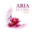 Aria del Mar Vol.2 - Benedictine and Gregorian Chant Chillout Limited Edition Chill Out Music for Relaxation