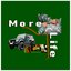 More Life
