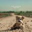 Song for Teddy