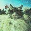 Big Crunch [Explicit]