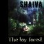 The Toy Forest - Single