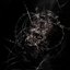 The Living Darkness