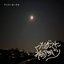 くたばってた夜の月明かり - Single