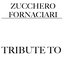 Tributo a Zucchero Fornaciari