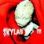 Skylab III