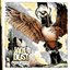 Wild Geese