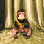 Monkey Business [Explicit]