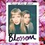 Blossom (Teenage Fire Remix)