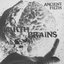 Earth Brains