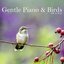 Gentle Piano & Birds - Single