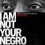 I Am Not Your Negro