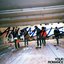 ANIMALS - Single