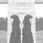 Notice - Single