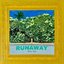 Runaway - Single