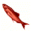 Avatar for red_herring