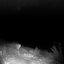 Banshee (2024 mix)