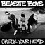 Check Your Head (Deluxe Version)