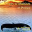 Chants De Baleines En Musique
