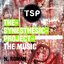 The Synesthesic Project (The Music)