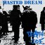 Wasted Dream LP