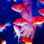 Avatar de kyulwoos