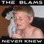 Never Knew - Single