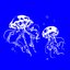 Jellyfish - Single