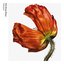 Release: Further Listening 2001-2004 (Deluxe Edition) [2017 Remaster]