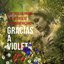 Gracias A Violeta