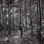 The Amazon​—​where the Moon Wept