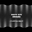 Swans (Villagers Remix)