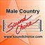 Karaoke - Classic Male Country - Vol. 31