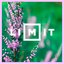 Limit - Single