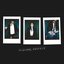 Picture Perfect - Single