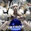 ARTPOP (THE 10TH ANNIVERSARY)