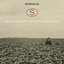 With Our Heads In the Clouds & Our Hearts In the Fields