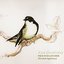 Pied Flycatcher (Ficedula hypoleuca)