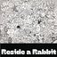 Reside a Rabbit
