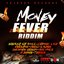 Money Fever Riddim [Explicit]