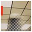 Apparition Liminale