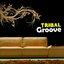 Tribal Groove