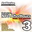 the best of NYC Afterhours 3  Vocal Sessions