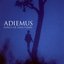 Adiemus: Songs of Sanctuary